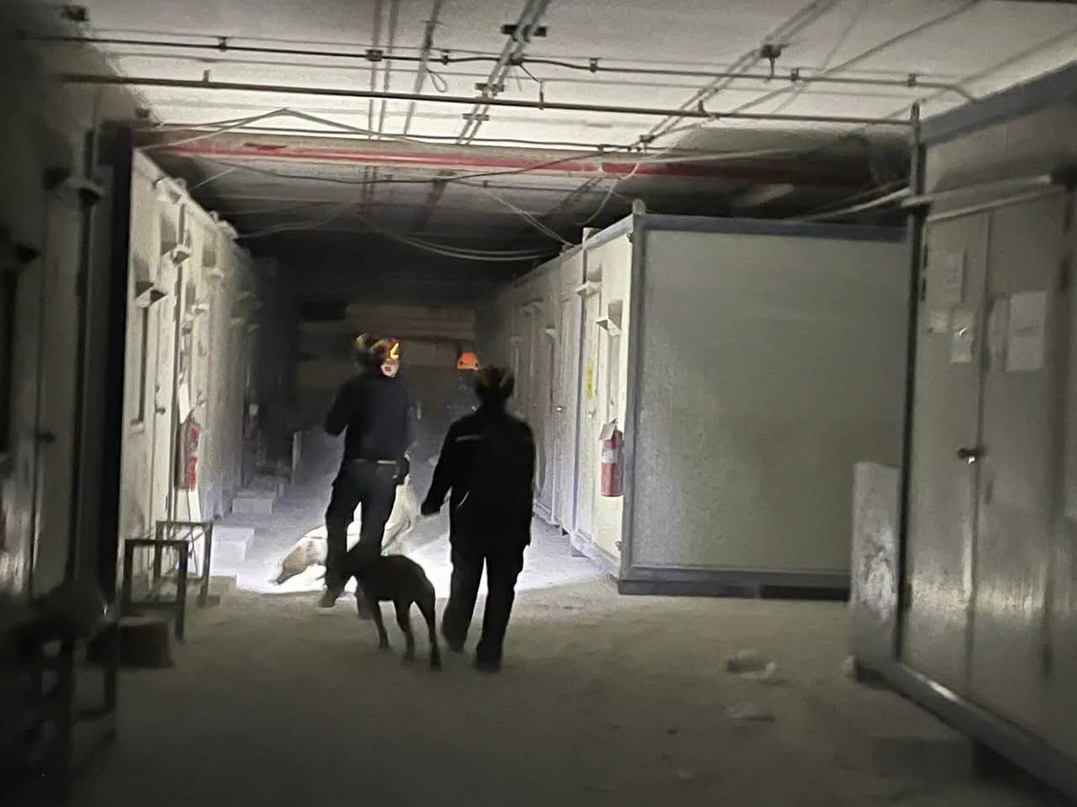b_surisa's tweet photo. K9 USAR Thailand’s rescue dogs worked tirelessly overnight in Bangkok, searching collapsed building rubble for survivors following the Myanmar earthquake #แผ่นดินไหว #earthquake #Thailand https://t.co/m6MAgkCsyL