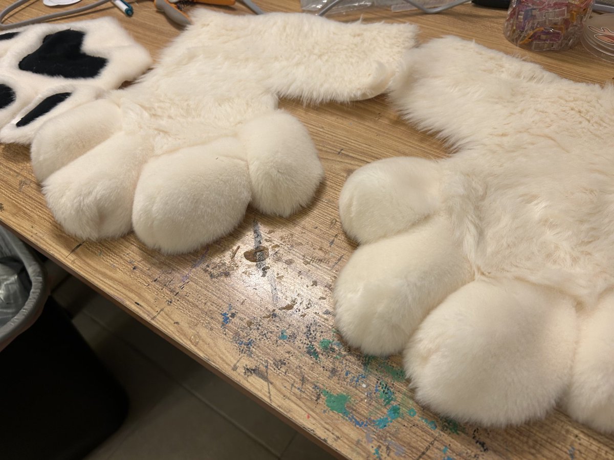 Big paws 🐾