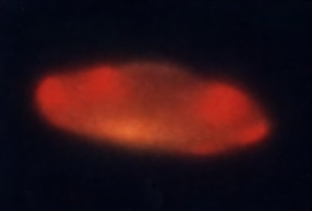 Arnfden0's tweet photo. #uapX #ufoX #ufotwitter #uaptwitter #NHItwitter #weareNOTalone #endUAPsecrecy #ovnis #NHIs #NOTmadebyhumanhands #UAPhearings #Imminent #ImmaculateConstellation #NationalArchives 

(((((((🛸))))))) https://t.co/UvL8D2KFqY