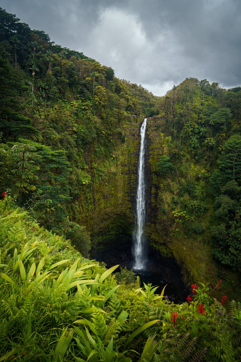 spncrmr's tweet photo. Big Island Hawaii (2023) https://t.co/Yd4EDhBmZu