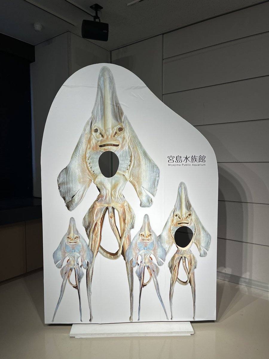 宮島水族館の顔ハメパネルよすぎる