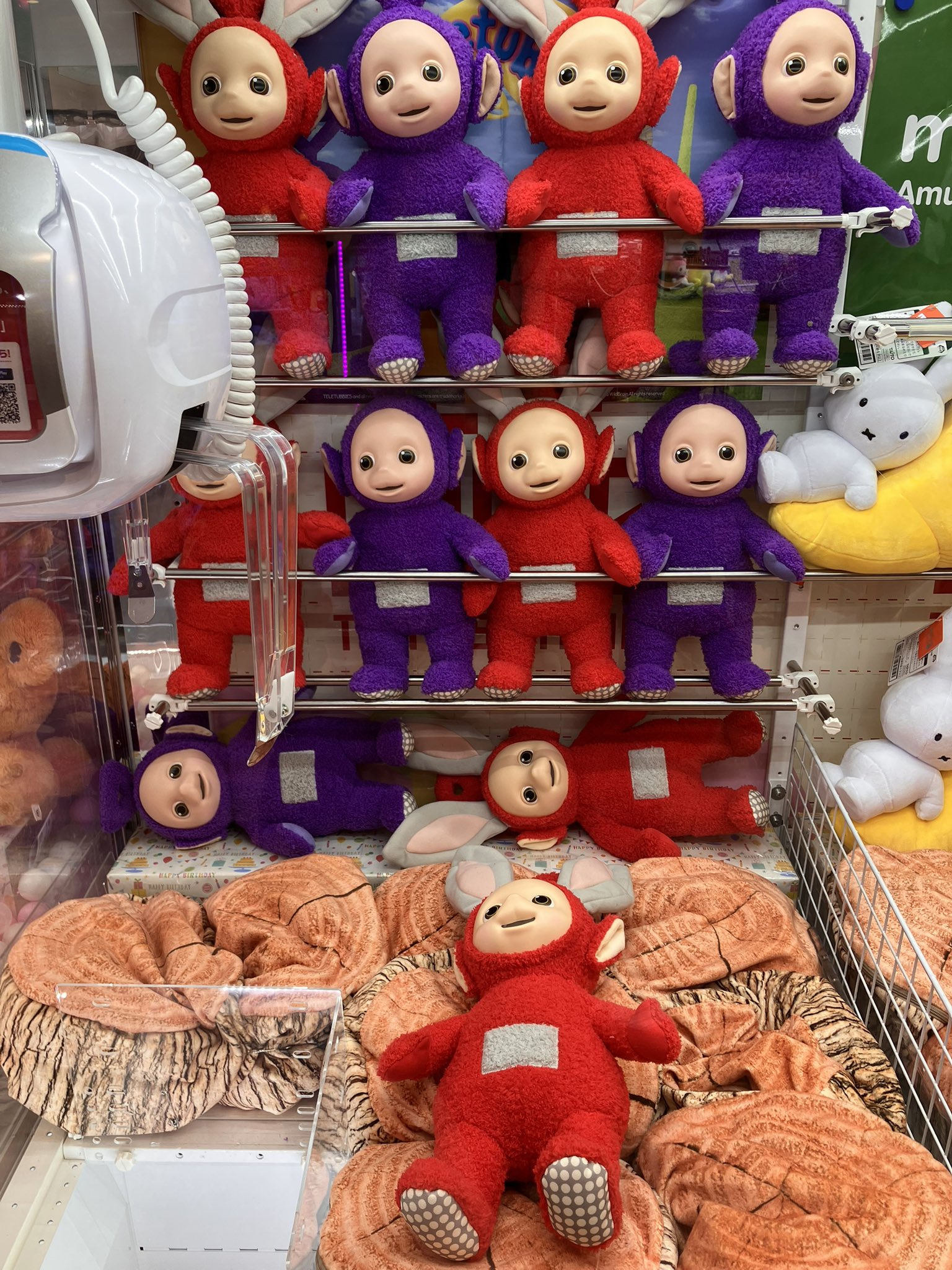 タイステ フジグラン緑井店 on X: 