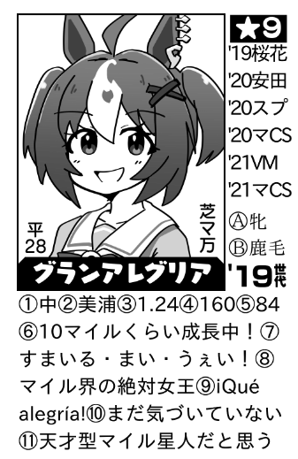 これくらい情報量入れれば名鑑っぽくなるかな 