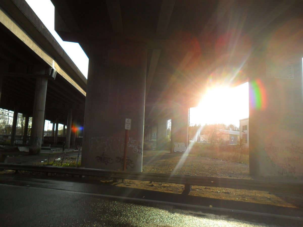 vnc38's tweet image. 