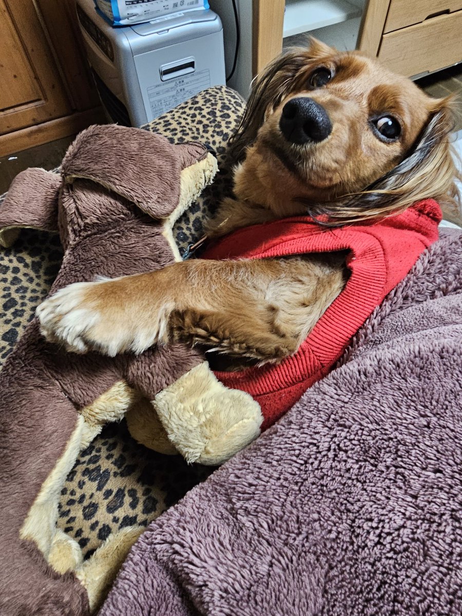 布団めくったら、浮気がバレた男の子みたいな📷撮れた( *´艸｀)