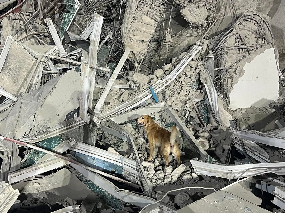 พูดก็พูดนะโคตรจะเท่แก๊งหมาแดงกู้ชาติของจริง

นี่แหละฮีโร่ตุวจิง