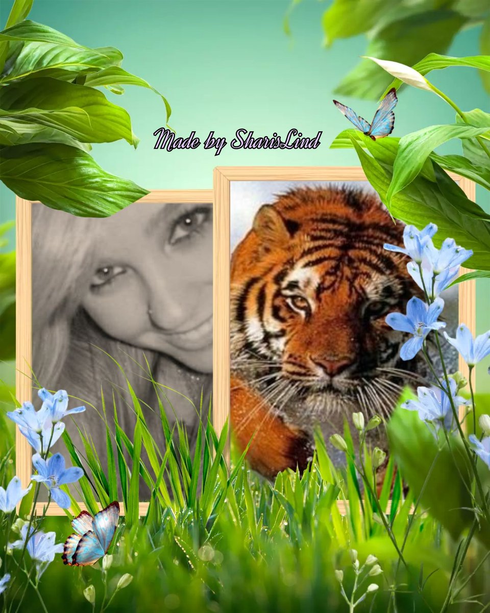 Alisha #TSha 🌳 (@sharislind) on Twitter photo #DinamicaTSha
🍅RT⛳️Like💟
🎑🚆<a href="/Lolalolitaok1/">♡Lola Lolita♡🌷</a> <a href="/GFBS17/">👦#Gust `s TFBS</a>
<a href="/JormerMx/">Jorge Mercado</a> <a href="/carlos2pixrcuad/">Carlos</a> <a href="/Luis__Ro/">Luis Rodríguez</a> #TeamSharis #DinamicaTSha
🍅RT⛳️Like💟
🎑🚆<a href="/Lolalolitaok1/">♡Lola Lolita♡🌷</a> <a href="/GFBS17/">👦#Gust `s TFBS</a>
<a href="/JormerMx/">Jorge Mercado</a> <a href="/carlos2pixrcuad/">Carlos</a> <a href="/Luis__Ro/">Luis Rodríguez</a> #TeamSharis