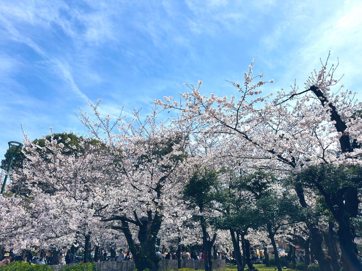#花見　#鶴舞公園