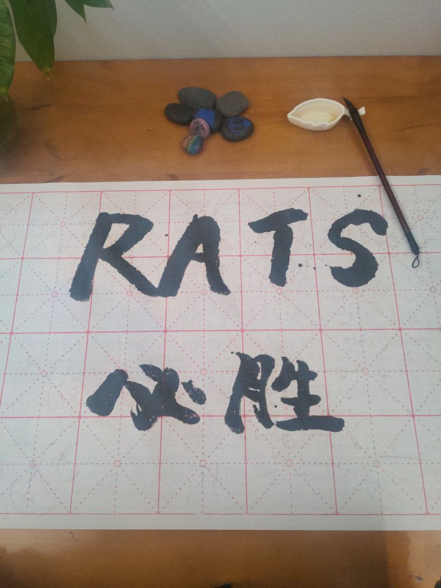 继续布道！反抗集权老鼠仓的meme文化大叙事传播，我辈散户义不容辞！ #ordi #sats #rats #brc20