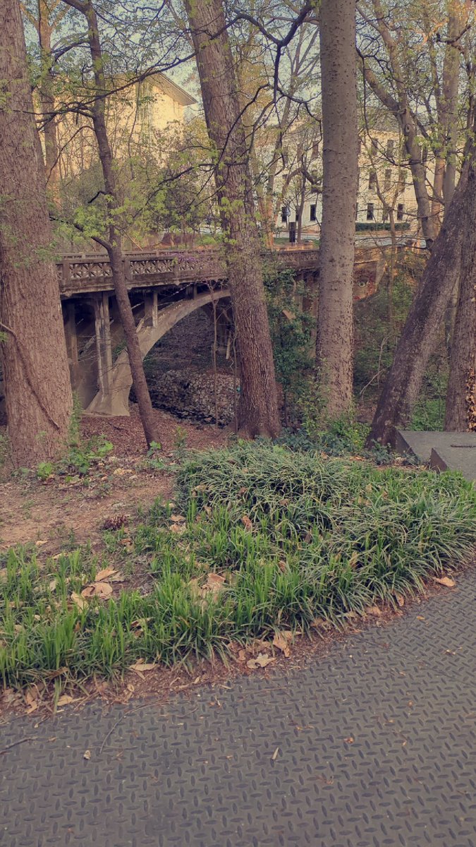 CCPathfinderFl's tweet photo. 📍 Emory University 

🩺⚖️Top-tier pre-health &amp; pre-law 
✈️ 120+ study abroad progs
🔬55% of undergrads do research
🥤🎉Coke Toast tradition 
📖 11 libraries with 24-hour access
✍️One of the best Creative Writing programs in the country

#GeorgiaHigherEd #collegevisit #IECOnTheGo https://t.co/aUgY9XFM2l
