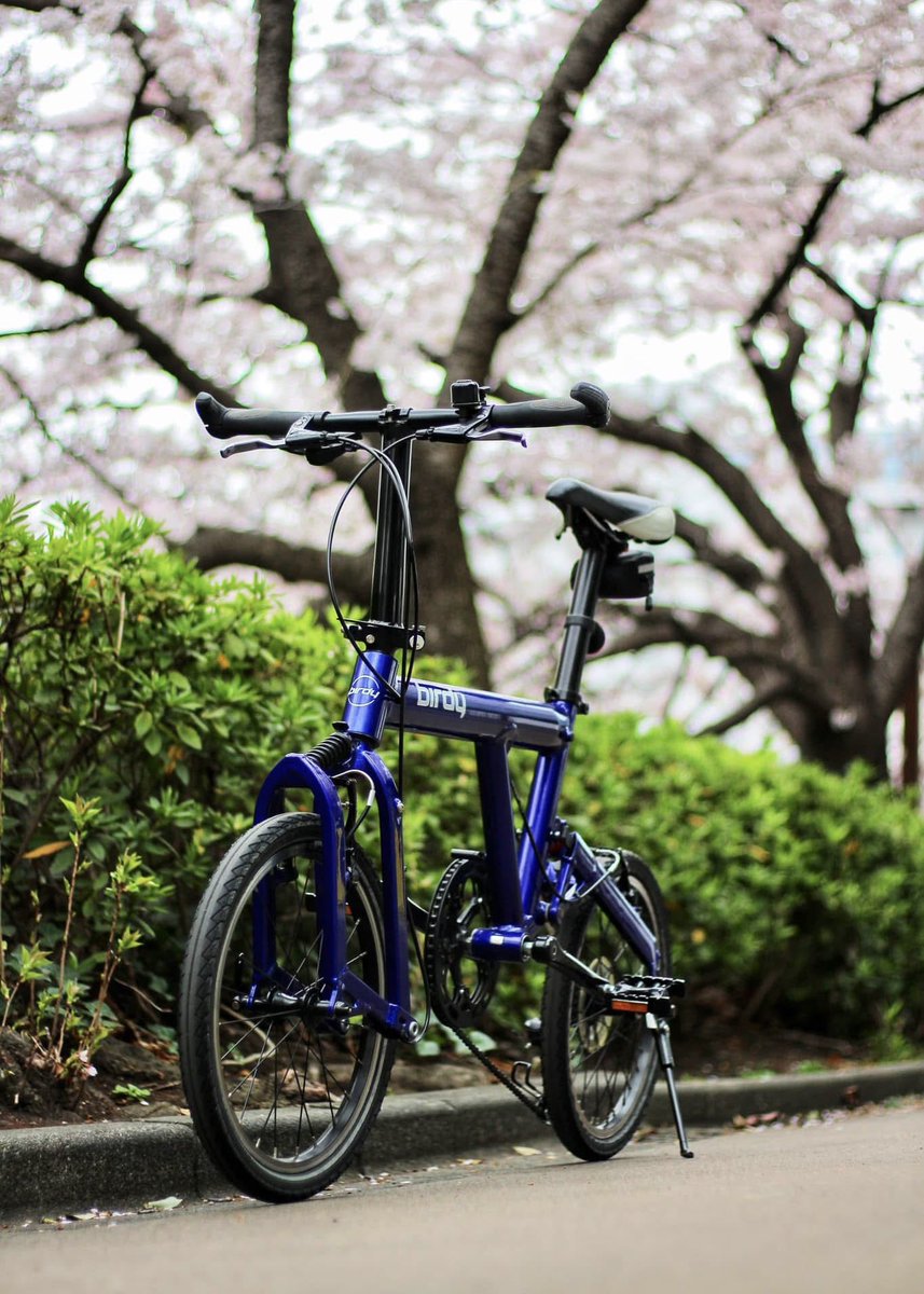自転車も冬眠から覚めた💦 久しぶりにバッチリ整備したので、 桜並木を