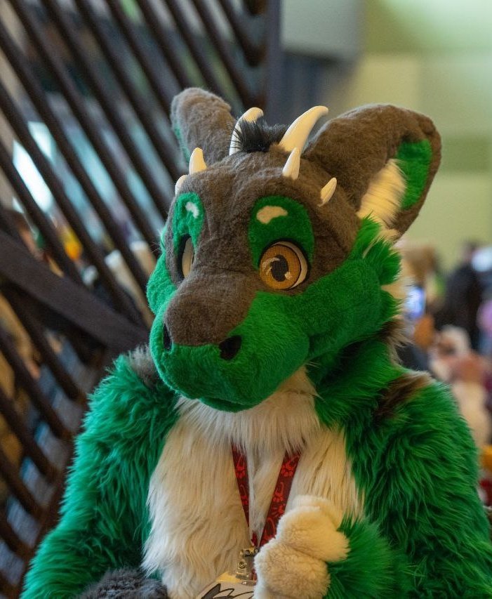 Did you hear about the new owner of Shade the Dutchie ?! 👀
Someone told me it's @MazeyCabbit12 !!!
Can't wait to see him again on meets and cons!! 😱💚🥰
Happy week-end and happy #FursuitFriday yall !