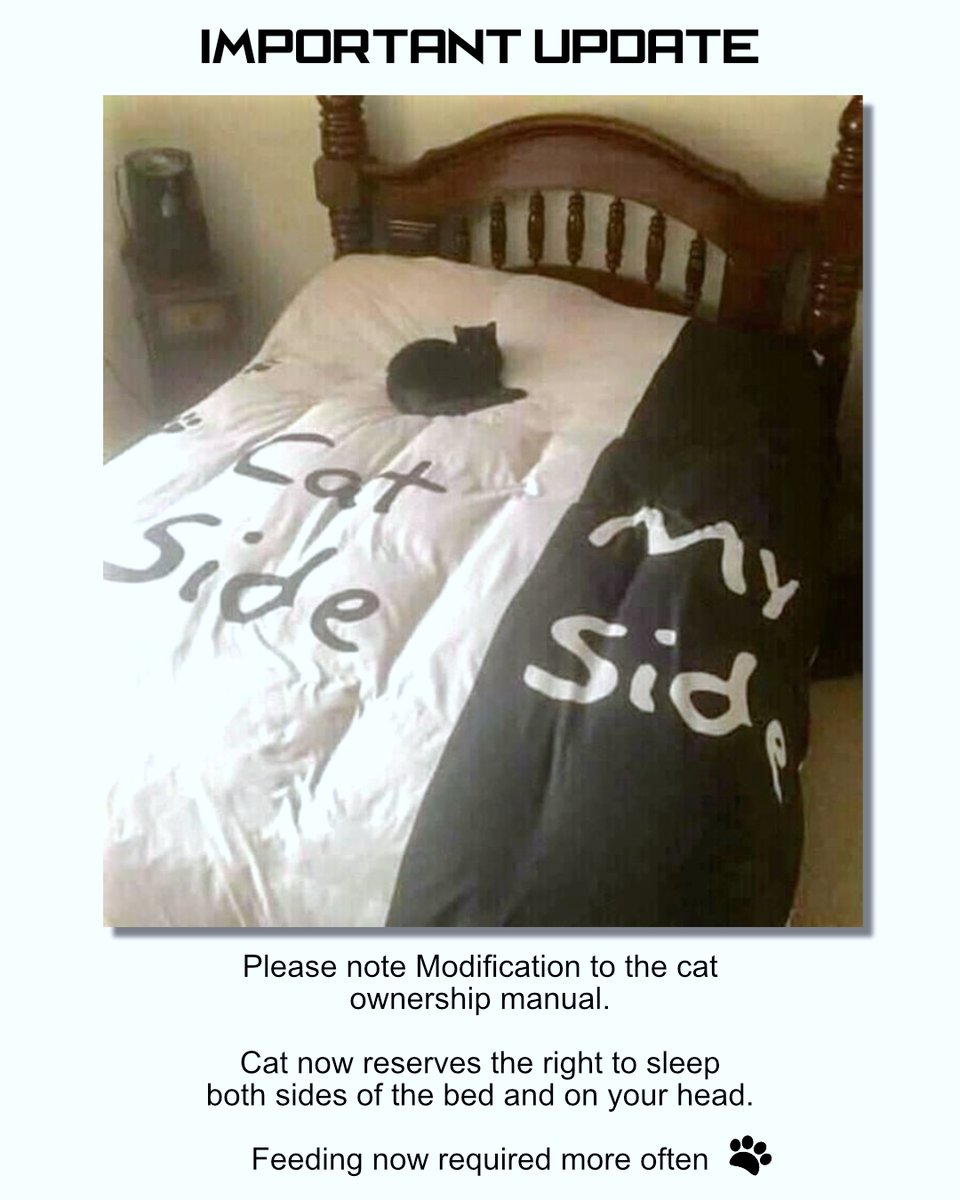 Update to the Cat ownership manual. please read carefully. 😅

#ilovemycat #caturday #catsofig #thedailykitten #bestmeow #catnip#funnycats#funnykittens
