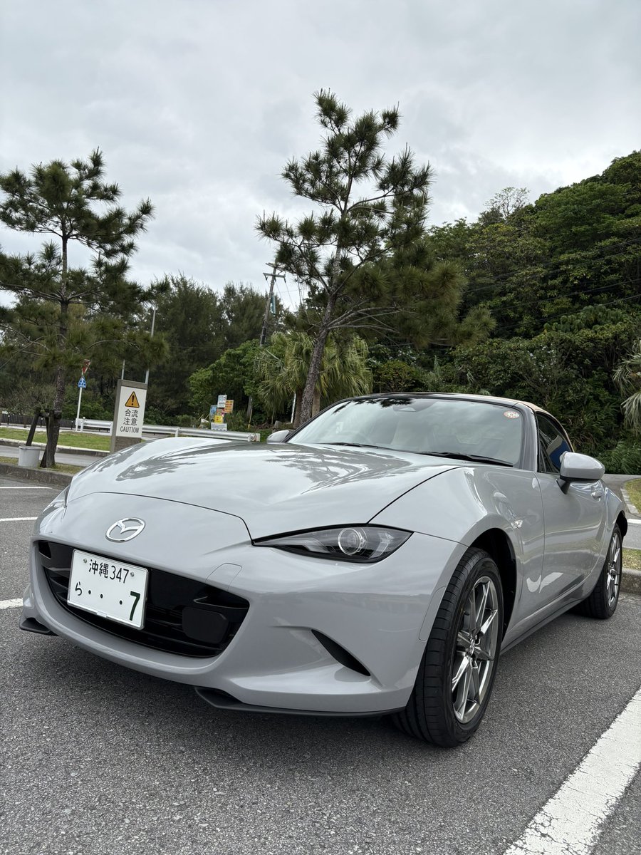 ポム森＠黒猫沖縄トライアル tweet media