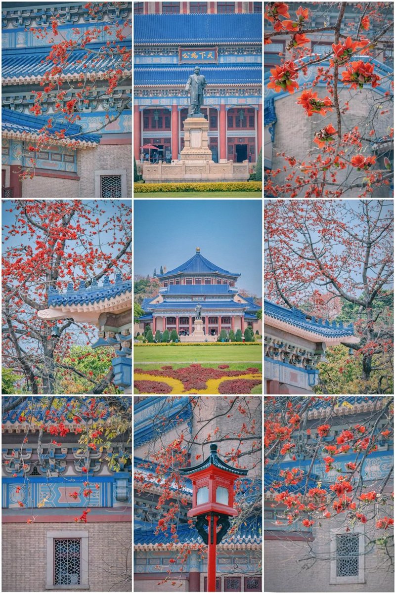 lemonyeah2's tweet image. 广州木棉必打卡❗️纪念堂春日浪漫！