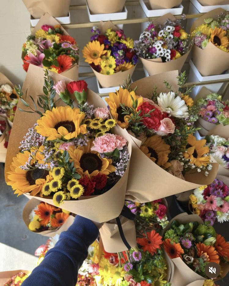 blossom library (@blossom_library) on Twitter photo 