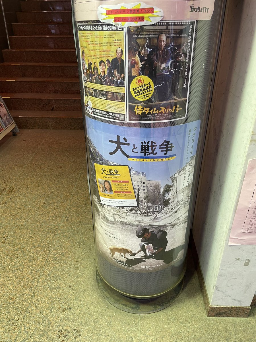 横浜シネマジャック&amp;ベティ🎬
『#犬と戦争 ウクライナで私が見たこと』
上映スタートしました！

今日と明日は
#山田あかね 監督の舞台挨拶を実施します🐕✨

戦禍のウクライナや動物たちのこと、
取材のエピソードなどのお話🇺🇦

この後16:00の回のお待ちしております🙌