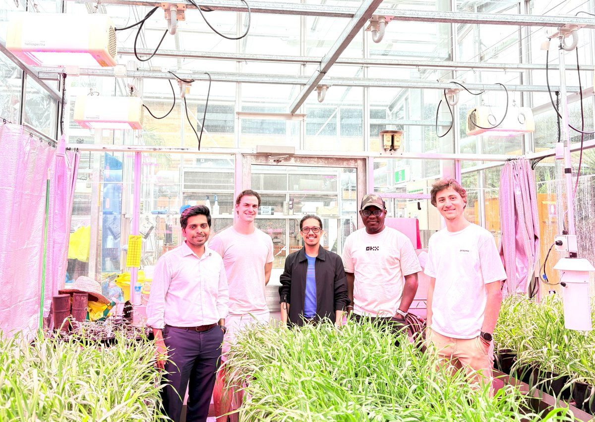 RutwikBarmukh's tweet image. Had an amazing time at @QAAFI learning AI-guided breeding strategies for crop improvement! 🌾🧬
 
Excited to apply these innovative methods in @theGRDC-funded #Pulses projects @MU_CCFI_Biotech.

Big thanks to Profs. @rajvarshney, @DrHikov, &amp;amp; Eric Dinglasan for this opportunity!