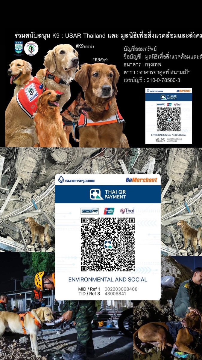 jungwboo_'s tweet image. ช่วยกันนะครับทุกคน ตามที่ไหวกันนะครับ 🩷

#สุนัขK9 #แผ่นดินไหว