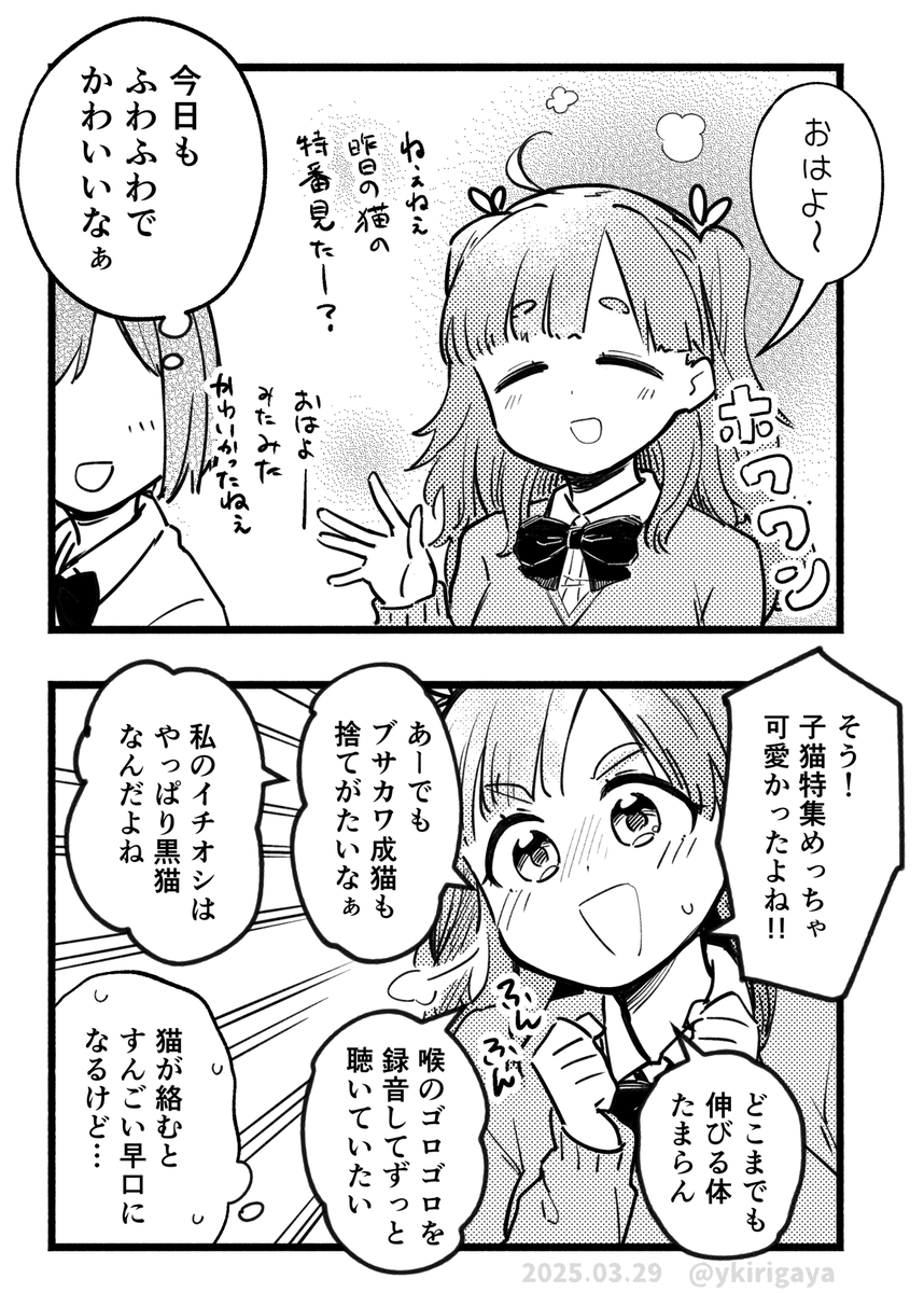 基本ふわふわしてるけど猫のことになると早口オタクになるうちの娘です🐈‍⬛ 
