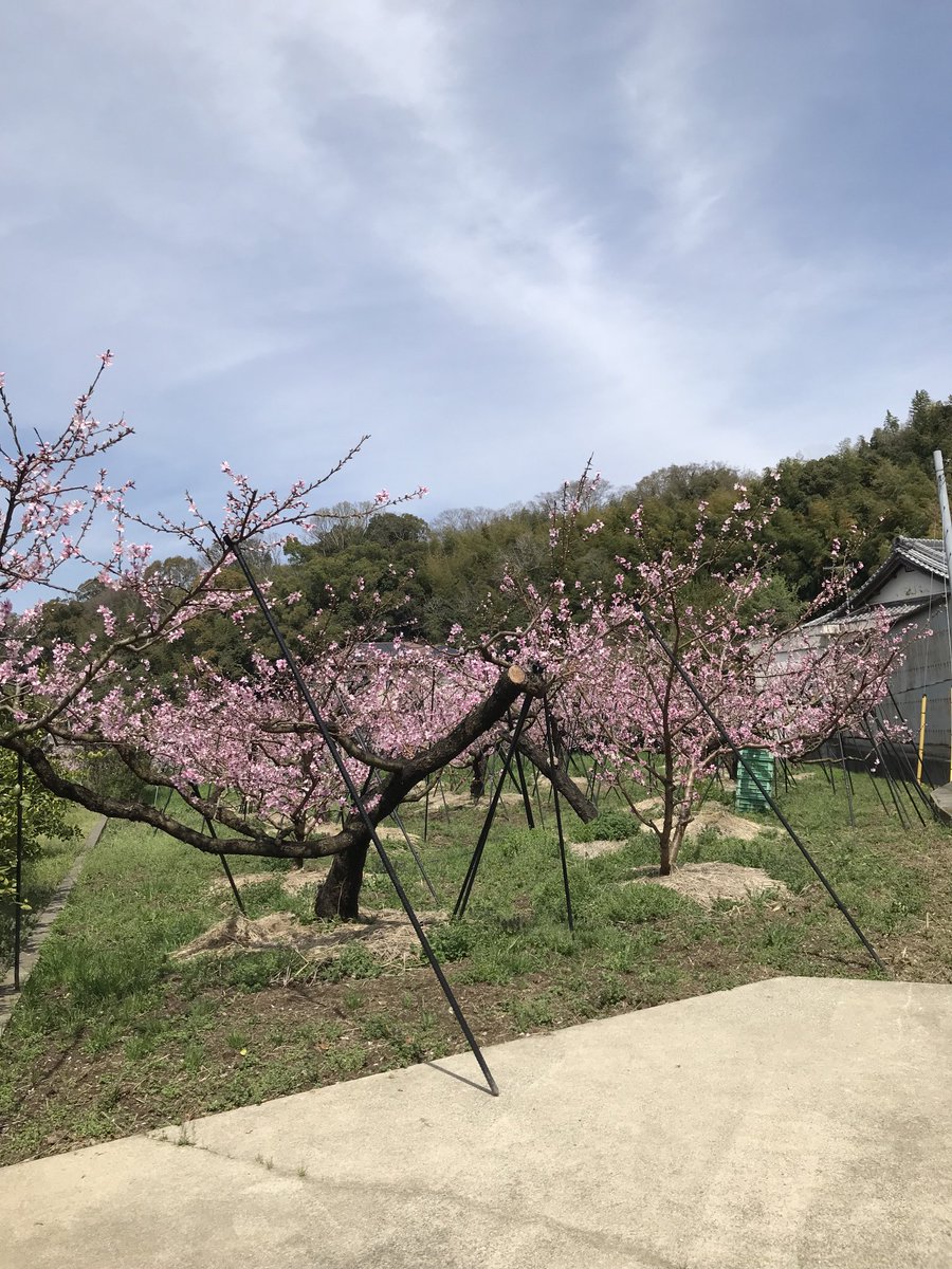 Maoh1130's tweet photo. https://t.co/Ibu1zxg21S