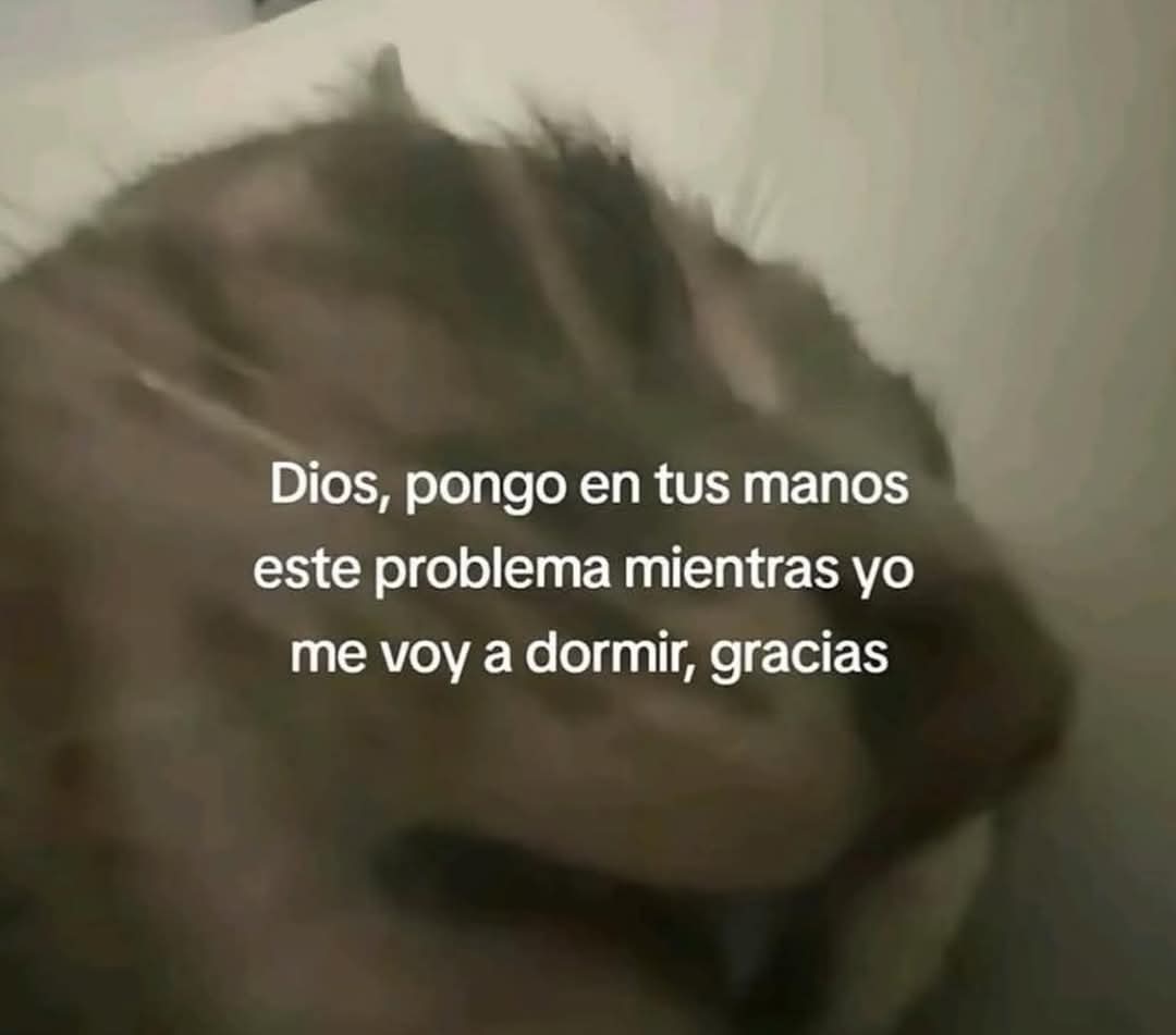 En Júpiter (@en_jupiter_) on Twitter photo 