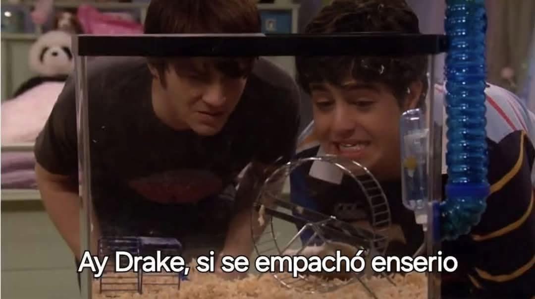 Zayn Malik be like: