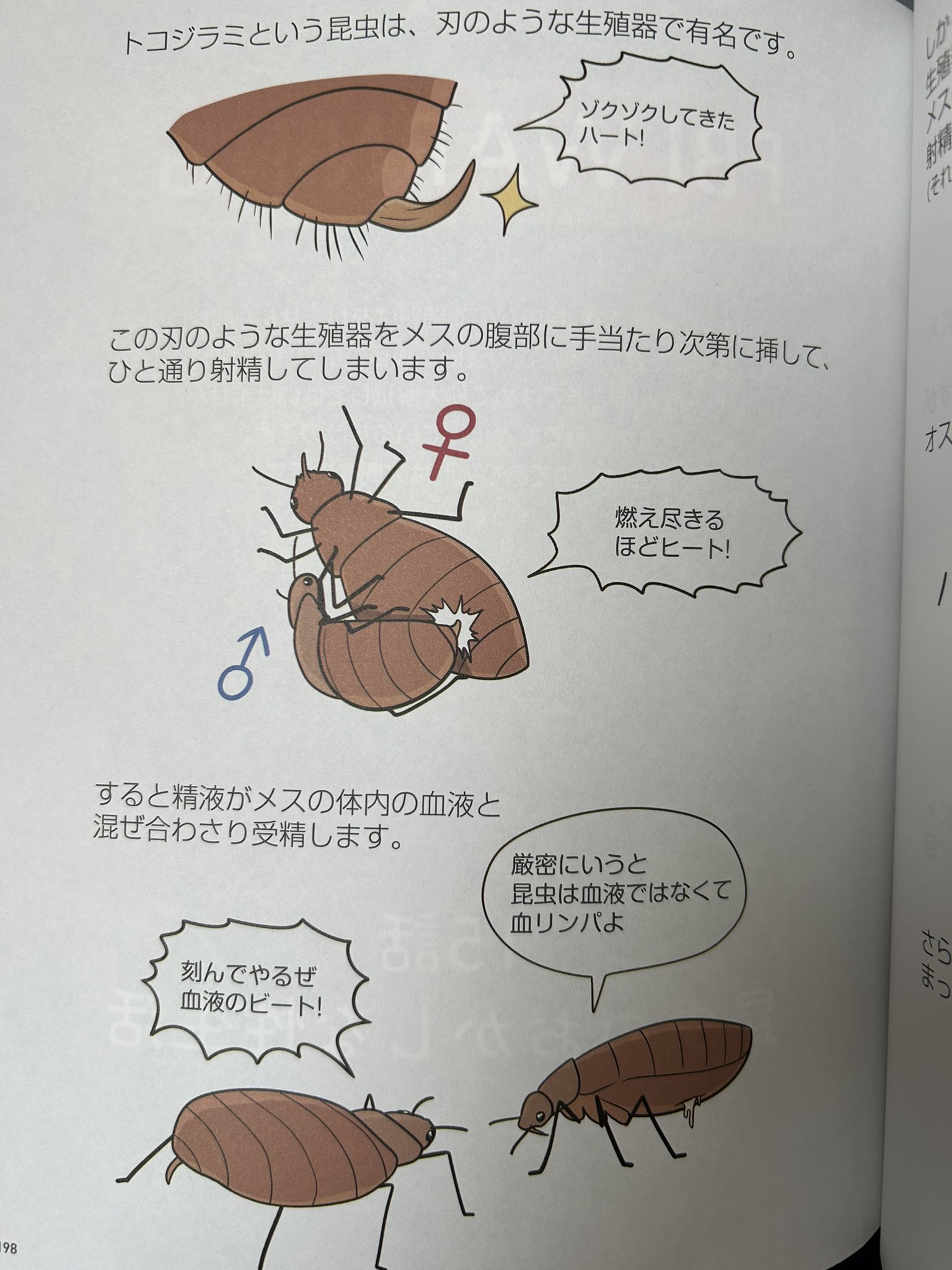 松井哲也 on X: 