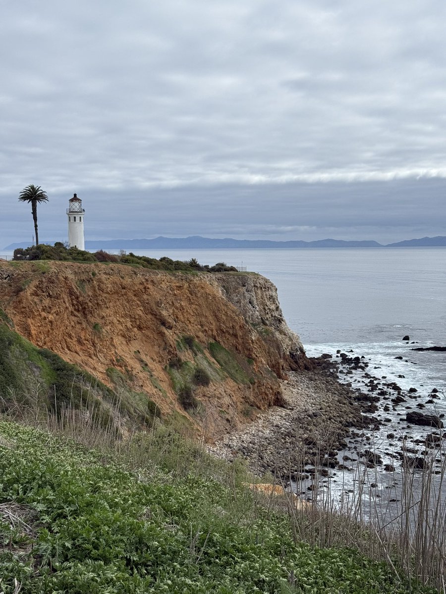 plyteboy's tweet image. I can’t lie…too many rappers die to BS! Why even rap at this point?! 🤷🏽‍♂️ I’m hurt and heart broken! 

I’m dedicated to building something different in music! A safe place and Godly vibe, safe for creative expression! 

A new cultural Renaissance where negativity isn’t invited 🫶