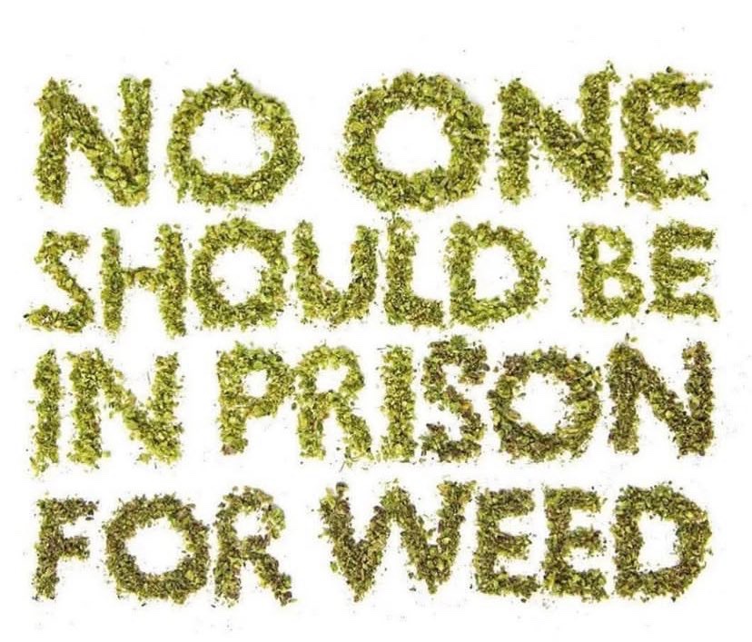 STONERS R US 🍃 tweet media