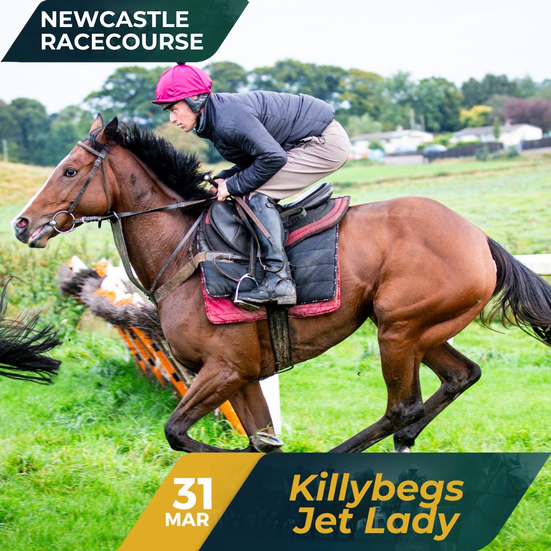 Killybegs Jet Lady has been declared to run at Newcastle on March 31st in the 15:30 Mini Golf At High Gosforth Park Novices' Handicap Hurdle over 2m7½f.
 
Alan Doyle takes the ride! 💛🤍