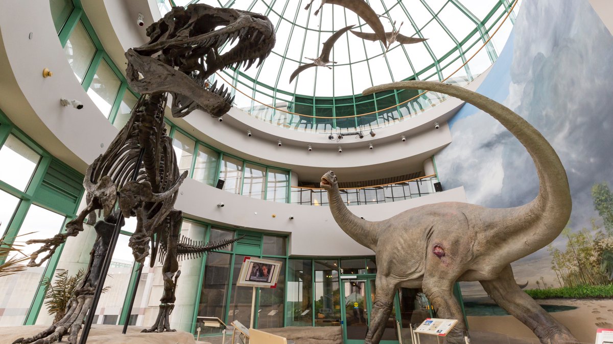 🇺🇸 Authentic Americana, Superhero Theme Park Fun, and More! 🎢 - mailchi.mp/budgettravel.c…