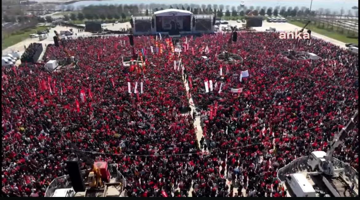 zeynep tweet media
