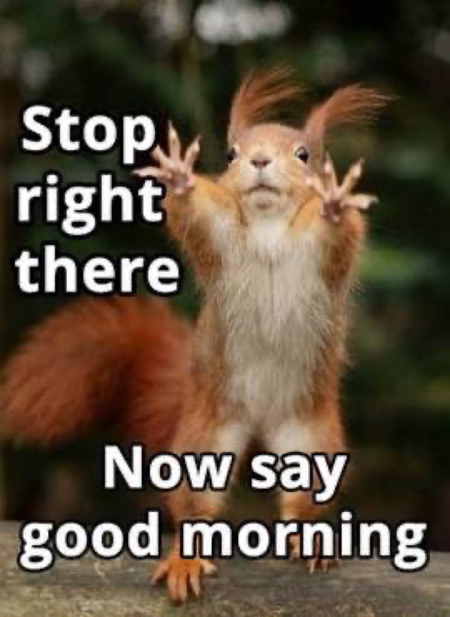 Good morning X 
Say hi if you see this🇺🇸🇺🇸