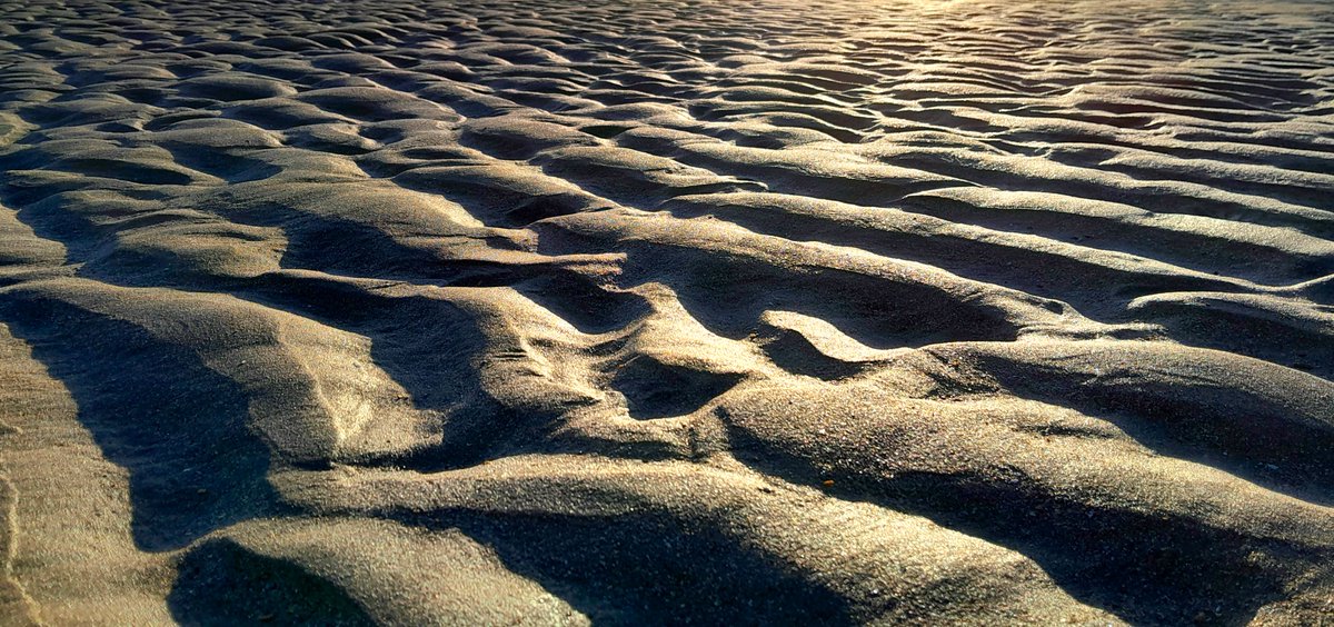 Sharing Life With Nature tweet media