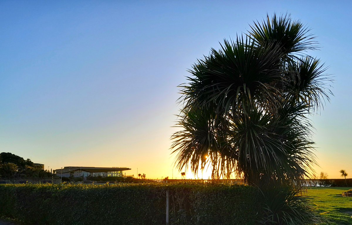 Sharing Life With Nature tweet media