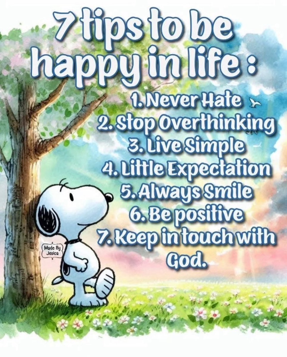 💜🩷🩵💛💜🩷🩵💛