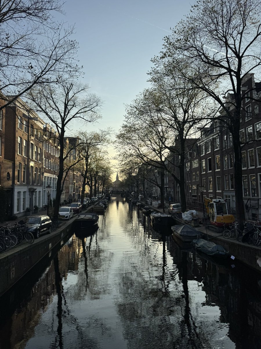 CarlottaB tweet media