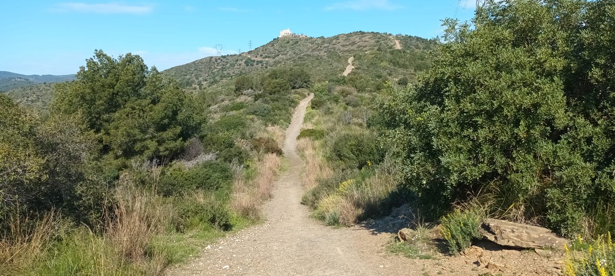 SolucionsGeo's tweet photo. Fent l’inventari de camins de Viladecans 🌳🌳

#SomSolucions #SomGeografia #SomTerritori #Viladecans https://t.co/saAj53Efss