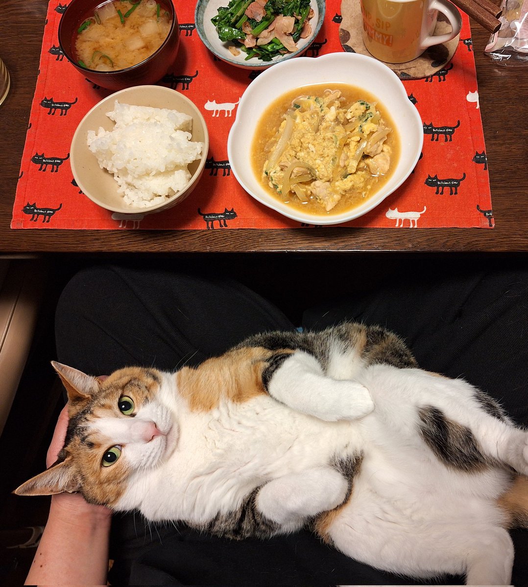 鶏むね肉親子煮たべました