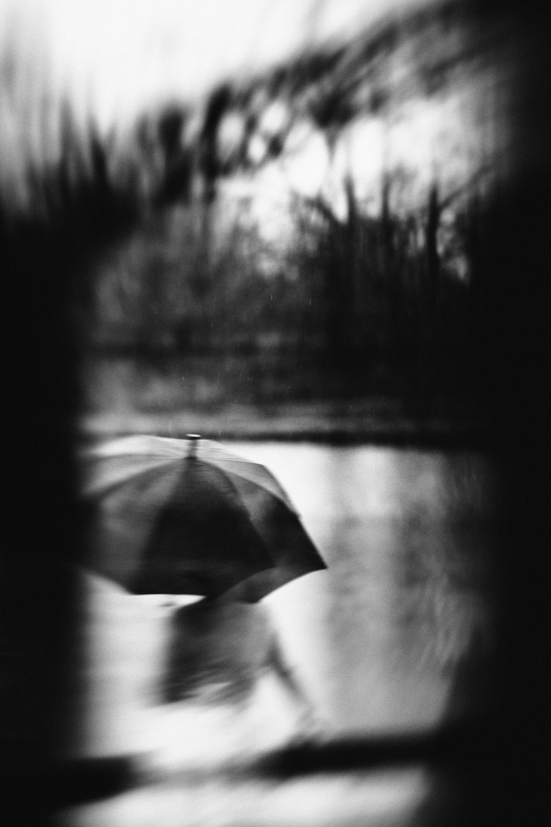 DoruLutai's tweet photo. #rain #mood https://t.co/mtgjxxcyp1