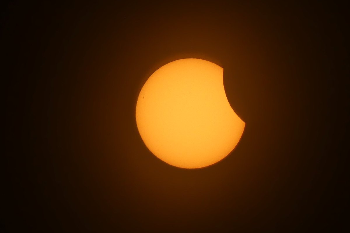 Craig Snell tweet media