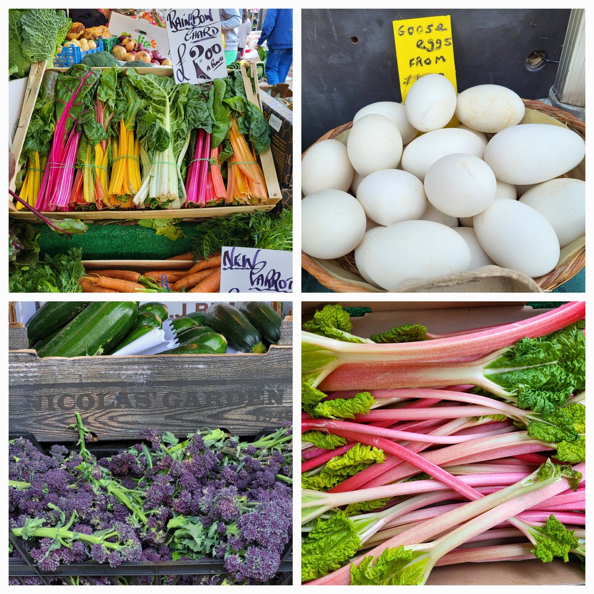 Jenny Linford tweet media