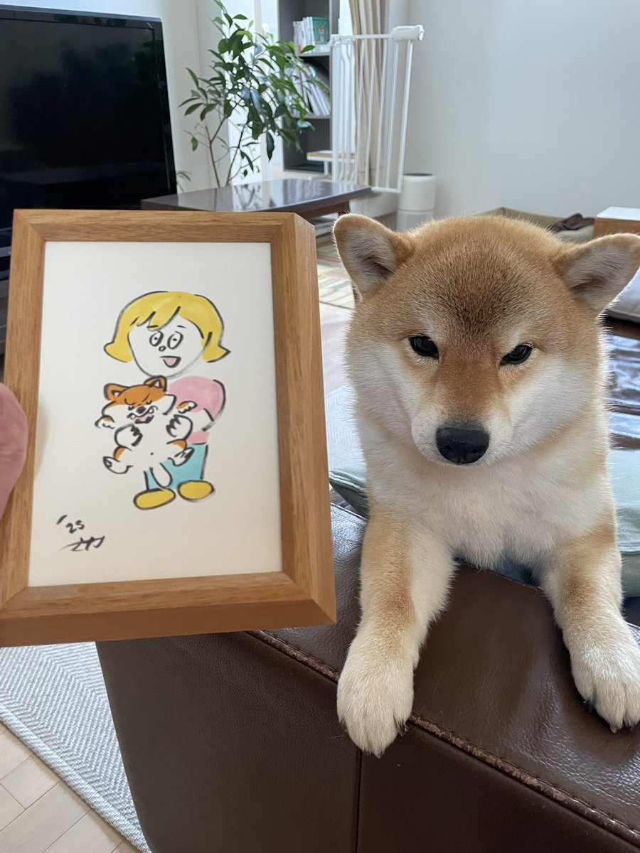sleeping_maya's tweet photo. だっこ嫌いのマヤと主のイラストを、真坂人形さんに描いてもらいました。@masakaningyo 
モデルの写真は右のﾑｷｯ👹笑
#柴犬 https://t.co/gxsNPlR7lO