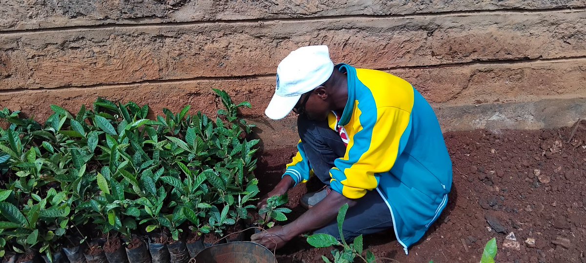 NAIROBI RECYCLERS tweet media