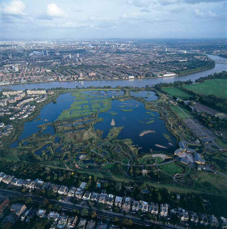 Update to opening hours! 📣

We'll be moving to a 5.30pm closing time from tomorrow, in line with daylight savings and so you can make the most of the seasonal wildlife we have here at #WWTLondon. 

Ready to visit? Head to our website to plan your trip and pre-book tickets now.