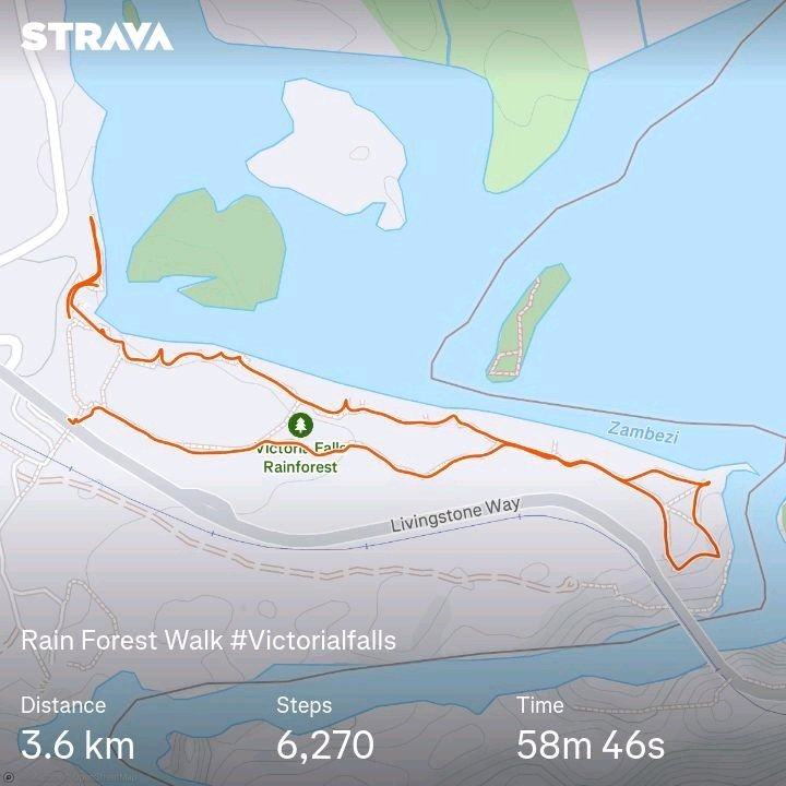 itsokeyiguess's tweet photo. A day in #victoriafalls explored the rainforest. Walked the bridge that borders Zimbabwe and Zambia. It was good #walk workout.
#explorezim
#strava
#garmin https://t.co/nNgtijBW3F