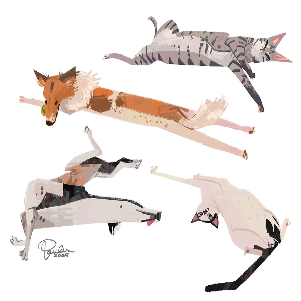 paula_hsu8's tweet image. Dogs and cats1