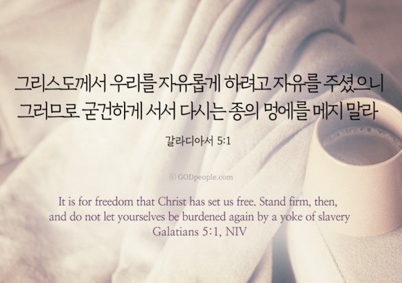 chinguu1215's tweet photo. #성경 #천부인권 #대한독립만세 🇰🇷 #자유대한민국 

#자유민주주의 에서 #자유 삭제 반대
#인민민주주의 반대 #사회민주주의 반대 

#공산주의 반대 
저도 #공산당이싫어요 #공산당들이싫어요 https://t.co/bj7X7MSqf9
