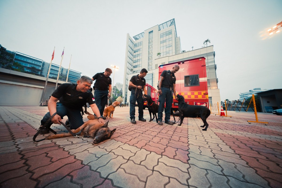 MizzimaNews's tweet photo. In response to the request for humanitarian assistance in the aftermath of an #earthquake in #Myanmar yesterday , #SCDF has deployed the Operation Lionheart (OLH) contingent to assist in disaster rescue efforts. The contingent departed from Changi Airport at about 1:20pm today. https://t.co/mhPpPwsnM8